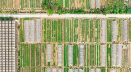 多功能受阻酚抗氧劑--OMNISTAB?AN565